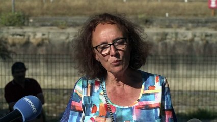 França prepara resgate de beluga perdida no Sena