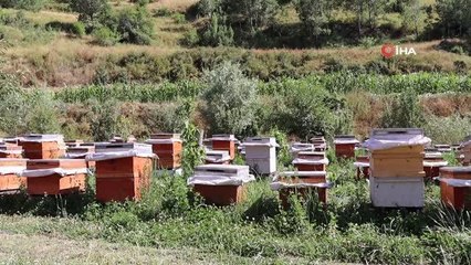 Erzurum haberi... Erzurumlu üretici şeker hastaları için organik bal üretiyor