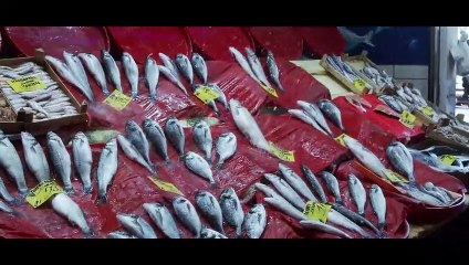 AKP İstanbul İl Başkanlığı'nın kampanya şarkısı belli oldu