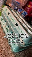 ¡Está vivo! Compró una cubeta de huevos y le salió un pollito recién nacido