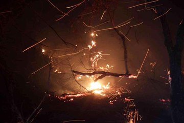 Meyve bahçelerinde başlayan yangın yazlık siteleri tehdit etti