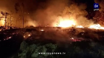  للمرة السادسة هذا الصيف.. حريق في أحراش ناعور