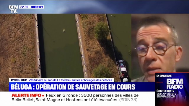 Le vétérinaire Cyril Hue explique les étapes nécessaires pour évacuer le béluga piégé dans la Seine.