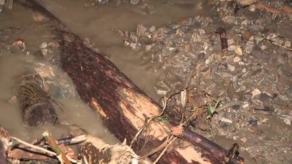 '산사태 악몽' 우면산 또 피해 우려..."사방댐 설치로 안전" / YTN