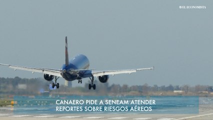 Canaero pide a Seneam atender reportes sobre riesgos aéreos