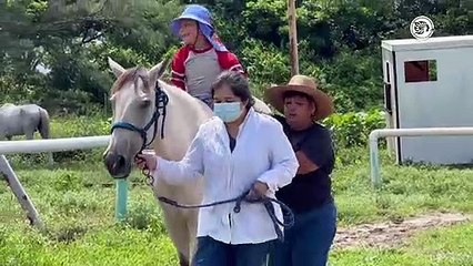 Héctor, a sus 5 años lucha contra la parálisis cerebral con ayuda de la equinoterapia