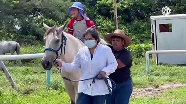 Héctor, a sus 5 años lucha contra la parálisis cerebral con ayuda de la equinoterapia