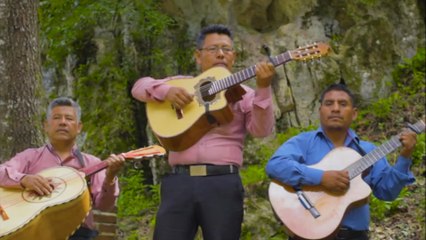 Nueva Criatura Melodias Cristianas