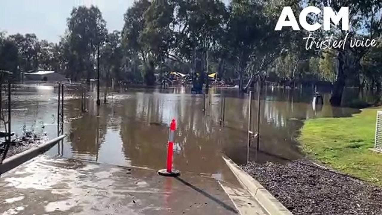 Wagga beach flooded | 10.08.22 | The Daily Advertiser