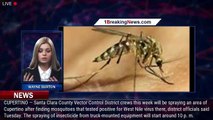 West Nile-positive mosquitoes found in Cupertino - 1breakingnews.com