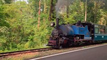 Compare world's smallest DHR Steam and Diesel locos hauling toytrains, Darjeeling Himalayan Railway