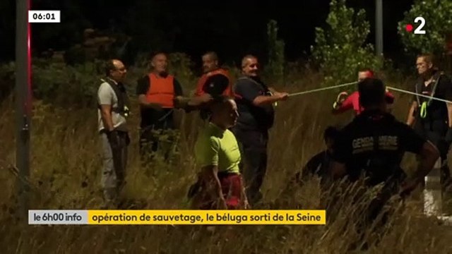 Opération sauvetage: Un peu après 4h ce matin, le Béluga a été sorti de l'eau : Regardez les images spectaculaires de cette opération qui s'est déroulée cette nuit - Vidéo