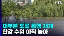 서울 대부분 도로 통행 재개...올림픽대로·강변북로 일부 통제 / YTN