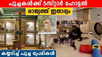 പൂച്ചകൾക്കായി ഇനി 5 സ്റ്റാർ ഹോട്ടൽ | *Trending