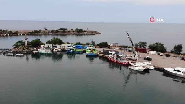 Ordu haberleri! Ordulu balıkçılar bu sene palamuttan umutlu