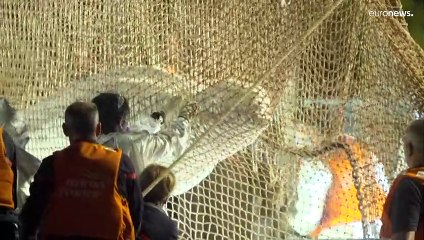 France : le béluga de la Seine est mort lors de son transfert vers la mer