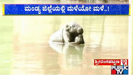 Flood Situation In Srirangapatna; Public TV Ground Report | Public TV
