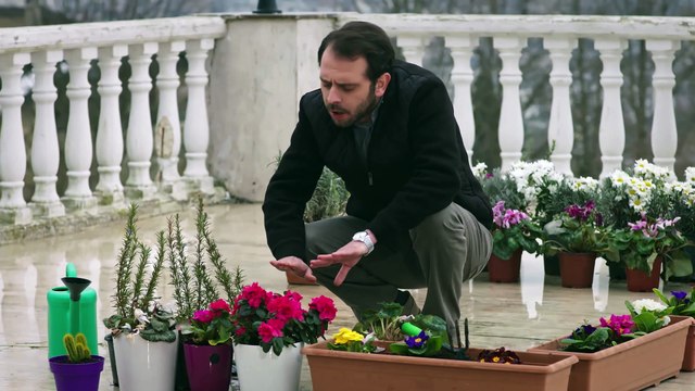 Emanet 405. Bölüm | Legacy Episode 405