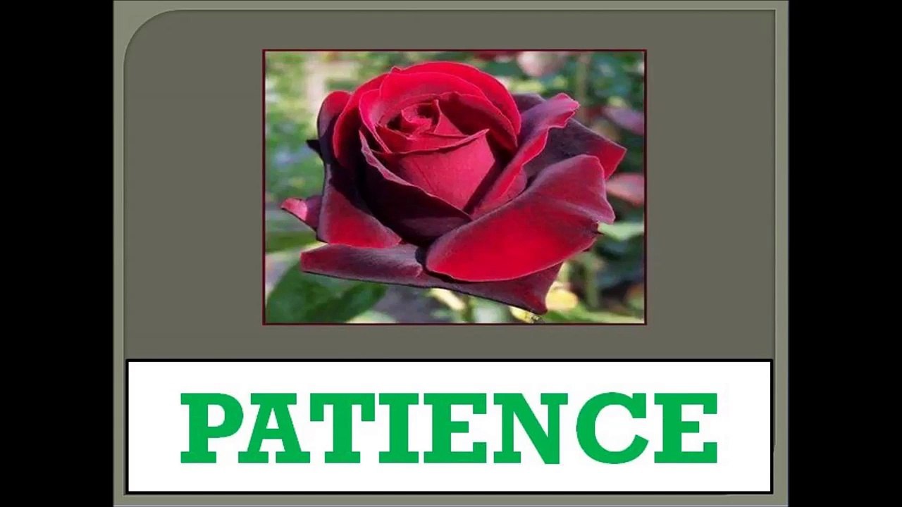 SHEEP AND GOAT FARMING- PERSONAL TRAITS REQUIRED- PART-1