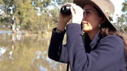 New life breathed into South Australia plains with more water flow