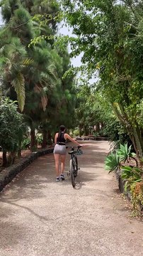 Trending beautiful funny nature clips