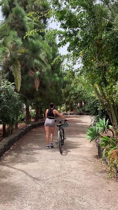 Trending beautiful funny nature clips