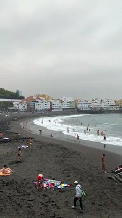 Trending beautiful funny nature clips