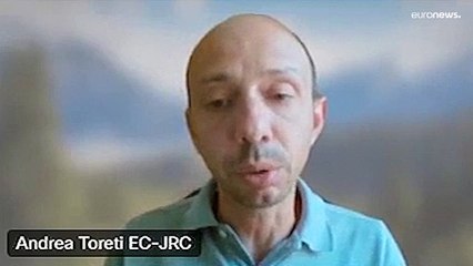 Europe's drought could be the worst in 500 years, warns researcher