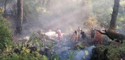 Antalya haberi! Manavgat'taki orman yangını büyümeden söndürüldü