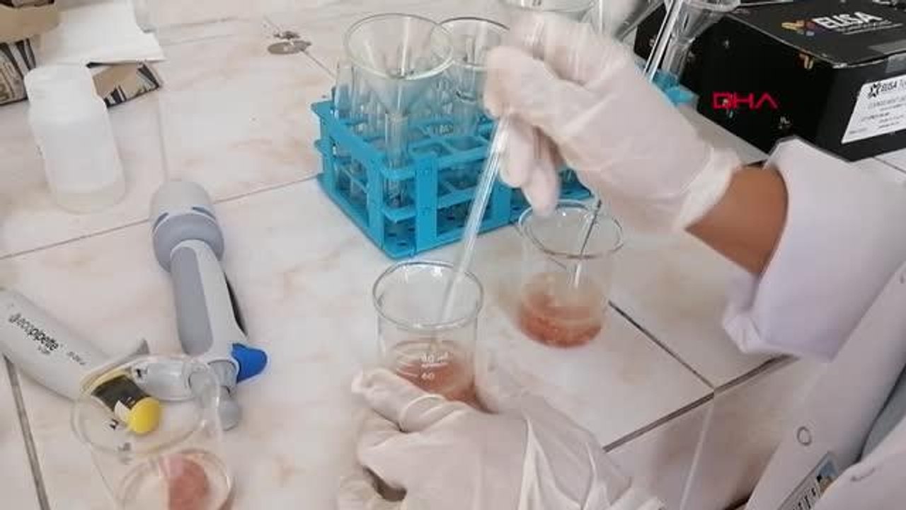 DANA ETİ OLARAK SATILAN SUCUKTAN TAVUK ÇIKTI