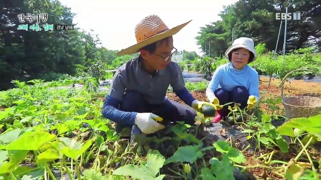 한국기행 - Korea travel_그해 여름 남해 3부- 내 고향 인생 바다_#002