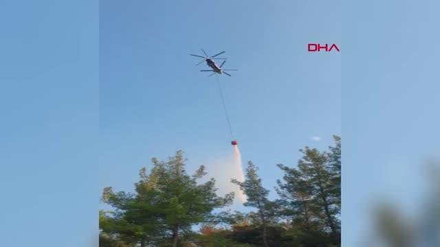 Son dakika haber! MANAVGAT'TA ORMAN YANGINI BÜYÜMEDEN SÖNDÜRÜLDÜ