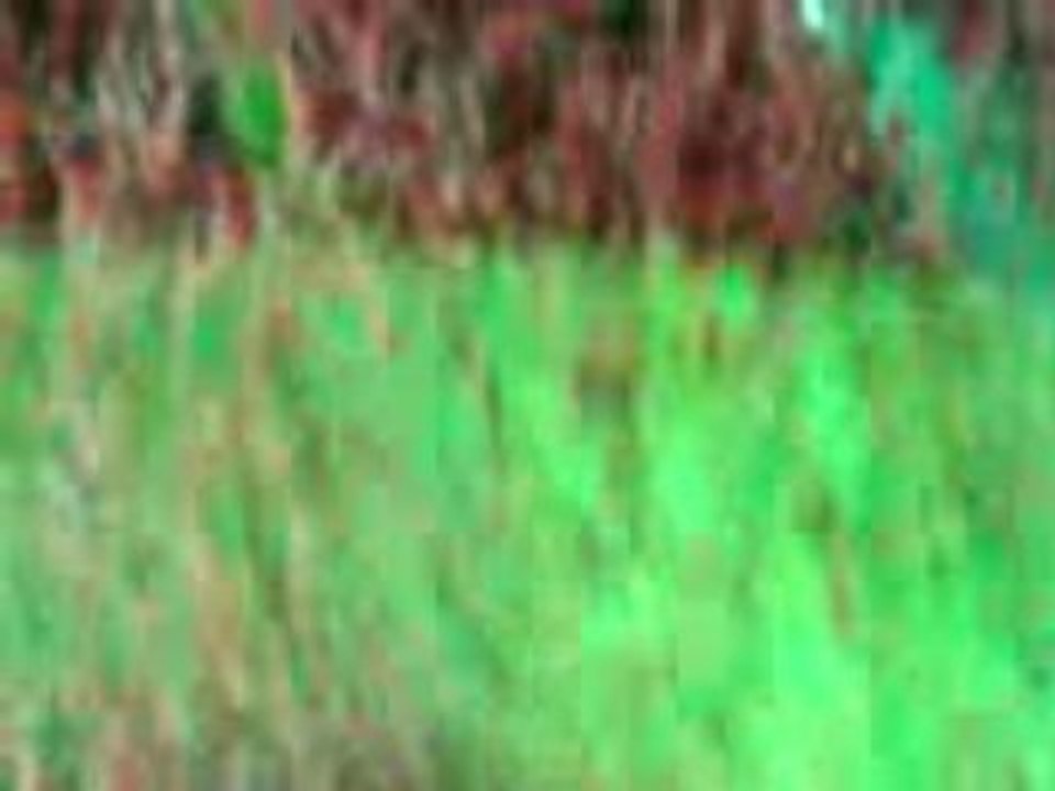 Dernière chanson suite