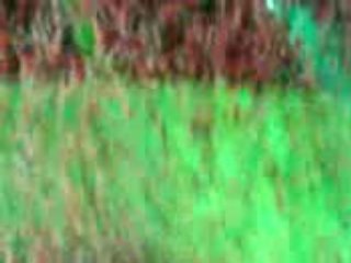 Dernière chanson suite