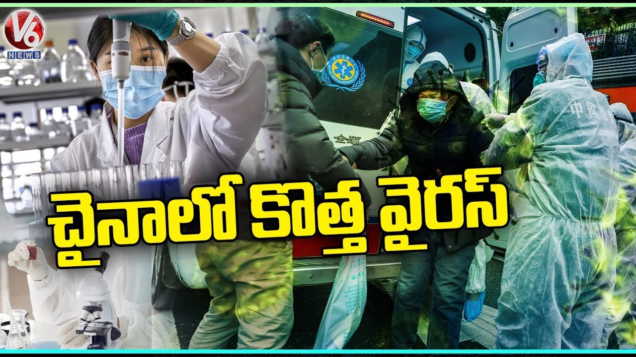 New ‘Langya’ Virus In China, 35 People Found Infected | V6 News