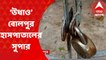 Birbhum: অনুব্রত মণ্ডলের চিকিৎসা-বিতর্কের মধ্যেই ‘উধাও’ বোলপুর হাসপাতালের সুপার I Bangla News
