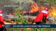 Kebakaran Lahan di Kawasan Danau Toba Mencapai 600 Hektare