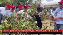 Sakarya gündem haberleri: Sakarya'da fındık hasat şenliği yapıldı