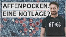 Aktuelle Frage: Wie gefährlich sind die Affenpocken?