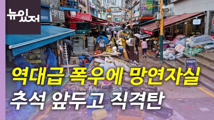 [뉴있저] 당정, 특별재난지역 선포 검토...폭우에 추석 물가 '빨간불'? / YTN