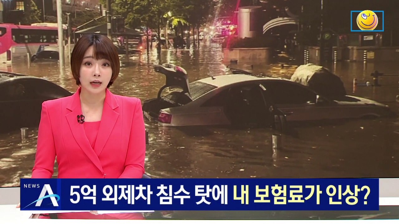 5억 외제차 침수 탓에 내 자동차 보험료가 인상?
