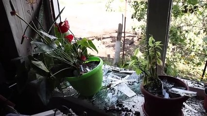 Ukrayna'nın Zaporijya bölgesindeki Kuşugum köyüne füze saldırıları düzenlendi