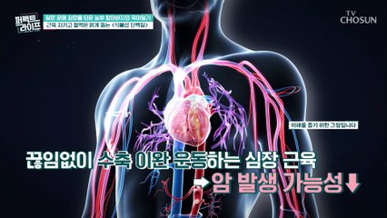 생명과 직결된 근육 감소하면 높아지는 심장병 위험 TV CHOSUN 20220810 방송