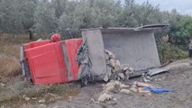 Son dakika haberi: Devrilen çimento yüklü kamyonun sürücüsü öldü