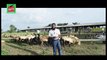 SHEEP AND GOAT FARMING :INTENSIVE GRAZING-PART-6