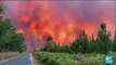 Reprises d'incendies en Gironde : 6 000 hectares de forêts déjà détruits
