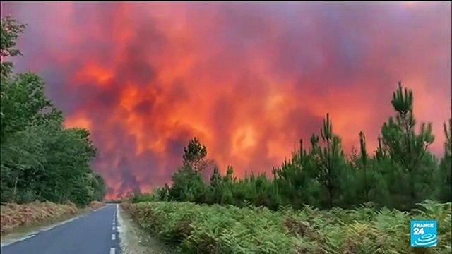 Reprises d'incendies en Gironde : 6 000 hectares de forêts déjà détruits