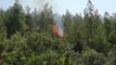 Tokat haber: Tokat'ın Niksar ilçesinde ormanlık alanda yangın çıktı