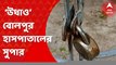 Anubrata Mandal: অসুস্থতাকে ঢাল করে ফের সিবিআই এড়ালেন অনুব্রত মণ্ডল।চিকিৎসক মুখ খুলতেই ‘উধাও’ বোলপুর হাসপাতালের সুপার। Bangla News
