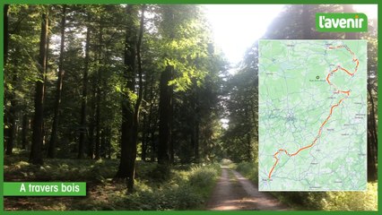 Balade de l'été : étape n°6 "De Bastogne à Vielsalm"